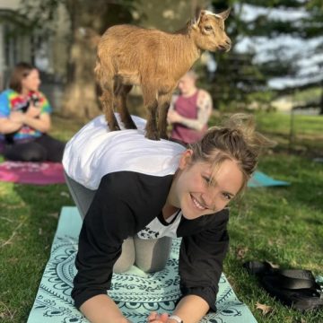 Goat Yoga at The Back Barn
