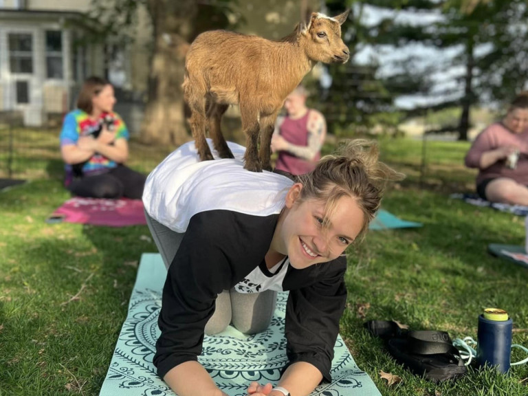 Goat Yoga at The Back Barn
